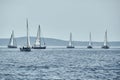 Beautiful sea landscape with sailboats, the race of sailboats on the horizon, a regatta, a Intense competition, bright