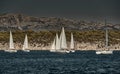 Beautiful sea landscape with sailboats, the race of sailboats on the horizon, a regatta, a Intense competition, bright