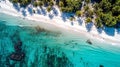 Beautiful sea or ocean shore with palm trees, sandy beach, Maldives coastline, view from the drone.