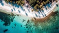 Beautiful sea or ocean shore with palm trees, sandy beach, Maldives coastline, view from the drone.