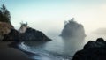 Beautiful sea stacks at the Oregon Coast, shrouded in fog Royalty Free Stock Photo