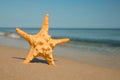 Beautiful sea star in sand on beach, space for text Royalty Free Stock Photo