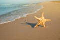 Beautiful sea star in sand on beach, space for text Royalty Free Stock Photo