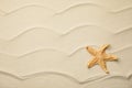Beautiful sea star on sand, top view. Space for text Royalty Free Stock Photo