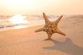 Beautiful sea star in sunlit sand at sunset, space for text