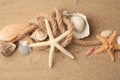 Beautiful sea stars, shells and rope on sand, above view Royalty Free Stock Photo