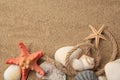 Beautiful sea stars, shells and rope on sand, flat lay. Space for text Royalty Free Stock Photo