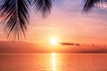 Beautiful sea sunset, morning ocean sunrise, tropical island beach, palm tree leaves silhouette, blue sky, orange clouds, sun dawn Royalty Free Stock Photo