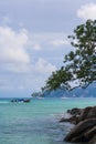 beautiful sea with the tree and rocks with the sailing boats behind Royalty Free Stock Photo