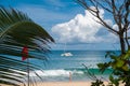 Beautiful sea view with a catamaran.