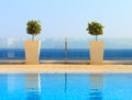 Beautiful sea view from clean swimming pool with plant decoratio