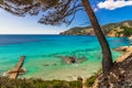 Beautiful sea view at coast of Camp de Mar, Majorca island Royalty Free Stock Photo