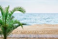 Beautiful sea view with palm tree, sand beach and board-walk. No people. Royalty Free Stock Photo