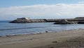 Beautiful sea view small dog playing rocks port blew sky