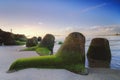 Groyne and beautiful sea view scenery over stunning sunrise Royalty Free Stock Photo