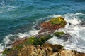 Beautiful sea wave background with green rocky shore and foam. C