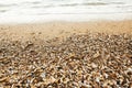 Beautiful sea waves foam closeup and sandy beach with seashells on tropical island. Waves and shells in ocean bay or lagoon. Royalty Free Stock Photo