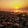 Beautiful Seabeach sun sky Snells Royalty Free Stock Photo