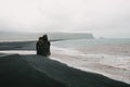 beautiful seacoast with black sand and cliff at foggy morning, vik dyrholaey, reynisfjara
