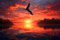 Beautiful seagull flying in the sunset over the lake Royalty Free Stock Photo