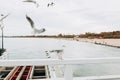 Beautiful seagull is sitting in port area. Seabird closeup, in a harbor. Gull standing on the white fence on blurred Royalty Free Stock Photo