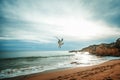 Beautiful seagull soars above the ocean and the beach at sunset, beautiful scenery, the sea and nature Royalty Free Stock Photo
