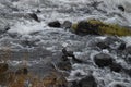 Seagulls cavort between the raging Waters