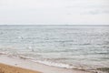 Beautiful seagulls and sea waves foam on sandy beach with seashells on tropical island. Waves and birds in ocean bay or lagoon. Royalty Free Stock Photo