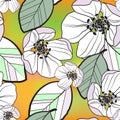 Beautiful seamless abstract pattern of white-lilac apple flowers and colored leaves, on orange-green gradient background, vector Royalty Free Stock Photo