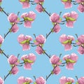 Beautiful seamless background with blooming magnolia tree branches.