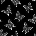 Beautiful seamless background of butterflies black and white colors. design greeting card and invitation of the wedding, birthday Royalty Free Stock Photo