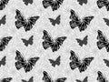 Beautiful seamless background of butterflies black and white colors. Royalty Free Stock Photo