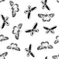 Beautiful seamless background of butterflies black and white colors. Many similarities to the author`s profile Royalty Free Stock Photo