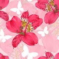 Beautiful seamless background with pink and red alstroemeria flower. Royalty Free Stock Photo