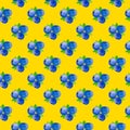 Beautiful seamless botanical pattern from blue blueberries green leaves on yellow background. Print for fabric wrapping paper