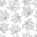 Beautiful seamless doodle pattern with black and white maple leaves sketch. design background greeting cards and invitations to th