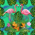 Beautiful seamless floral exotic pattern with tropical flowers, palm leaves, jungle plants, hibiscus, bird of paradise flower,