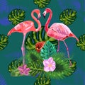 Beautiful seamless floral exotic pattern with tropical flowers, palm leaves, jungle plants, hibiscus, bird of paradise flower,