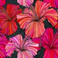 Beautiful seamless floral jungle pattern background. Tropical flowers bright color background. Hibiscus flower realistic