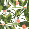 Beautiful seamless floral pattern background with exotic bright ficus elastica and exotic flowers. Royalty Free Stock Photo