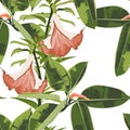 Beautiful seamless floral pattern background with exotic bright ficus elastica and exotic orange lilies flowers. Royalty Free Stock Photo