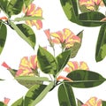 Beautiful seamless floral pattern background with exotic bright ficus elastica and yellow hibiscus flowers. Royalty Free Stock Photo