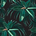 Beautiful seamless floral pattern background with tropical bright ficus elastica and palm leaves. Royalty Free Stock Photo