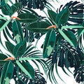 Beautiful seamless floral pattern background with tropical bright ficus elastica and palm leaves. Royalty Free Stock Photo