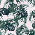 Beautiful seamless floral pattern background with tropical palm leaves. Royalty Free Stock Photo