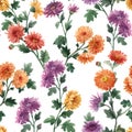 Beautiful seamless floral pattern with watercolor gentle blooming chrysanthemum flowers. Stock illustration.