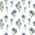 Beautiful seamless floral pattern with watercolor gentle blue blooming artichoke flowers. Stock illustration. Royalty Free Stock Photo