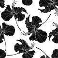 Beautiful seamless floral pattern. Hibiscus flowers background. Hibiscus flower realistic vector repeatable design.