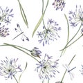 Watercolor allium floral seamless pattern