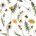 Watercolor dandelion blowball floral seamless pattern